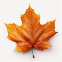 Autumn leaf isolated. Illustration AI Generative photo