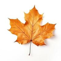 Autumn leaf isolated. Illustration AI Generative photo