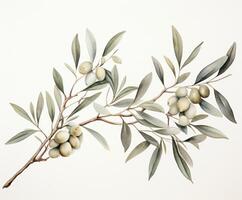 Watercolor olive background. Illustration AI Generative photo