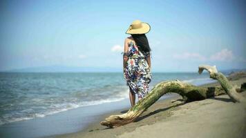 emocional mujer caminando por seco árbol maletero en el playa video