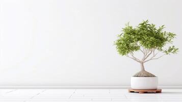 A white potted plant in a white room with a white wall behind it - photo