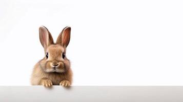 linda mascota en blanco antecedentes - generativo ai foto