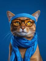 Portrait of a cat in blue sunglasses and scarf on blue background. photo