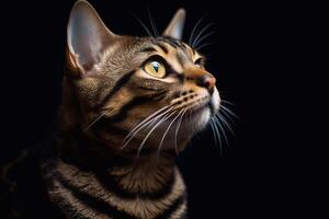 retrato de Bengala gato en oscuro fondo, cerca arriba. generativo ai foto