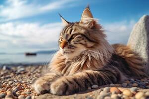 Maine mapache gato acostado en el playa con azul cielo antecedentes. generativo ai foto