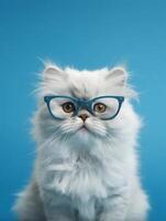 Beautiful Persian kitten wearing eyeglasses on blue background. photo