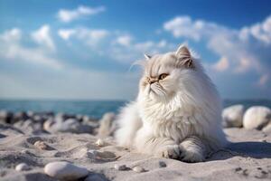 persa gato en el playa con azul cielo y blanco nubes generativo ai foto