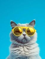 retrato de un gato vistiendo amarillo Gafas de sol en un azul antecedentes. foto