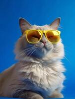 muñeca de trapo gato vistiendo amarillo Gafas de sol en azul antecedentes. generativo ai foto