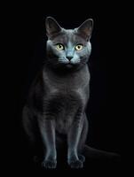 retrato de un ruso azul gato en un negro antecedentes. generativo ai foto