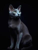 retrato de un ruso azul gato en un negro antecedentes. generativo ai foto