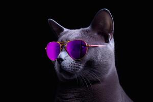 Close up of cat wearing pink sunglasses isolated on black background. photo