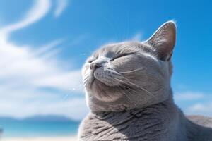 ruso azul gato en el playa con azul cielo y nubes antecedentes. generativo ai foto