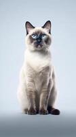 siamés gato en blanco antecedentes. generativo ai foto
