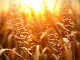 the implications of biotechnology and genetic engineering. photo