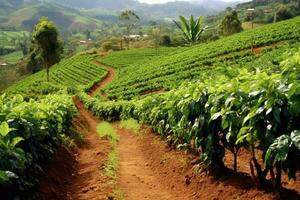 café plantación, ai generativo foto