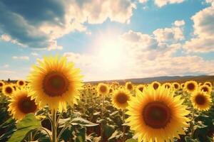 field of blooming sunflowers against blue sky, AI Generative photo