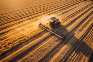 Aerial view of combine harvester in vast wheat field, AI Generative photo