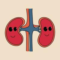 Cartoon healthy kidneys. Vector illustration in flat style