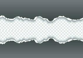 creativo horizontal Rasgado papel borde en transparente antecedentes vector