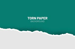 Torn paper , horizontal colourful torn paper with soft shadow vector