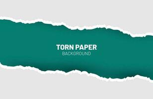 Torn paper , horizontal colourful torn paper with soft shadow vector