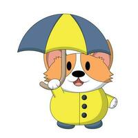 Cute Corgi with umbrella and raincoat in color vector