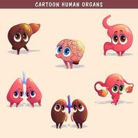 Cartoon human organs set with liver pancreas heart female reproductive system kidneys brain lungs stomach intestine isolated vector illustration