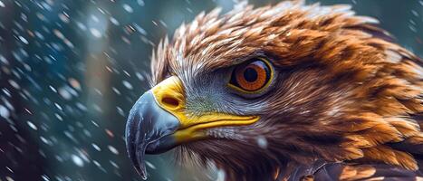 Detailed Eagle head Macro Photography photo