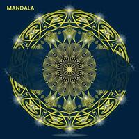 mandala modelo para textil a impresión Listo vector