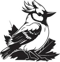 Bird Black And White, Vector Template Set for Cutting and Printing