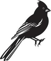 pájaro negro y blanco, vector modelo conjunto para corte y impresión