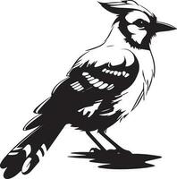 Bird Black And White, Vector Template Set for Cutting and Printing