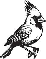 Bird Black And White, Vector Template Set for Cutting and Printing