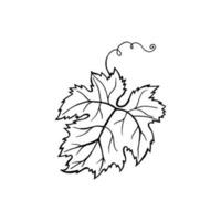 Vector leaf design. Hand drawn minimalism style vector illustration.