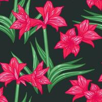 Hippeastrum amaryllis lilly blooming flowers seamless pattern. vector