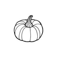 Hand drawn pumpkin sketch. Ripe squash isolated on white background. Linear art of healthy organic vegetable in cartoon style. Ink drawing. Vector illustration for menu, farmers markets, print