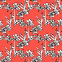 Hippeastrum amaryllis lilly blooming flowers seamless pattern. vector