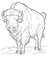 american bison coloring page line art vector