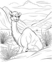 Camel Animal Coloring Page Illustration vector