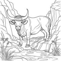 Buffalo animal coloring page for adults vector