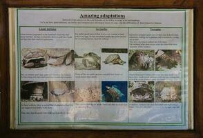 Mahe, Seychelles 18.06.2023 Information board in the botanical garden of the 3 types of adopton tortoises in the Seychelles, Mahe Seychelles photo