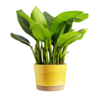 POtted banana plant isolated. Illustration AI Generative png