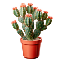 Cactus isolated. Illustration AI Generative png