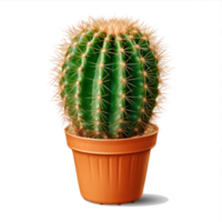 Cactus isolated. Illustration AI Generative png