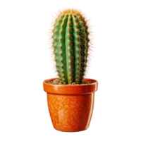 Cactus isolated. Illustration AI Generative png