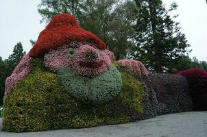 flowers at lake constance photo