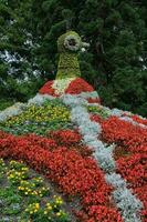 flowers at lake constance photo