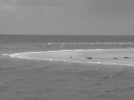 Borkum island in germany photo