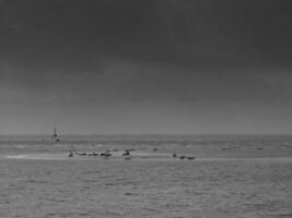 Borkum island in germany photo